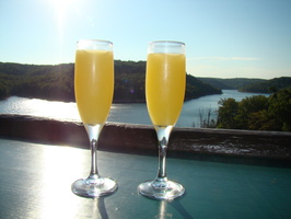 2010 08-Mimosas Beaver Lake Arkansas